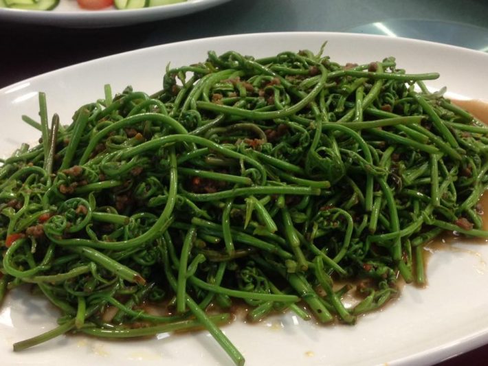 14202574_10154676184269131_9096595307381727944_n