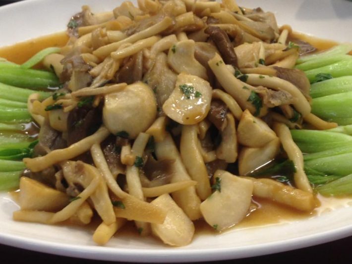 14330087_10154676184289131_1340660162777650722_n